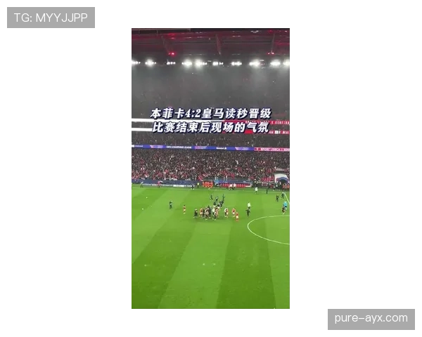 本菲卡新赛季强势开局，球迷热盼球队延续辉煌表现