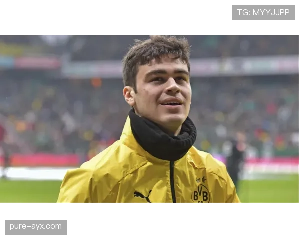 德甲租借名单公布,新星加盟引热议,未来前景备受期待 德甲租借名单公布,新星加盟引热议,未来前景备受期待