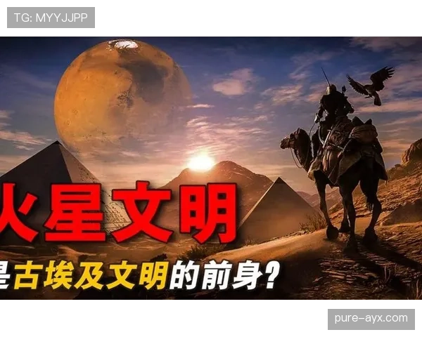 埃及G组专题深度解读